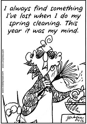 Springtime internal cleaning