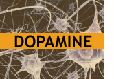 The Role of Dopamine